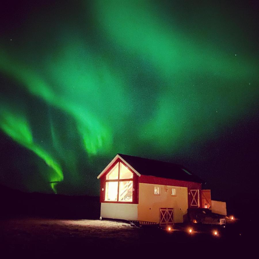 Unique Barnhouse In Amazing Gimsoy In Lofoten Saupstad  Exteriör bild