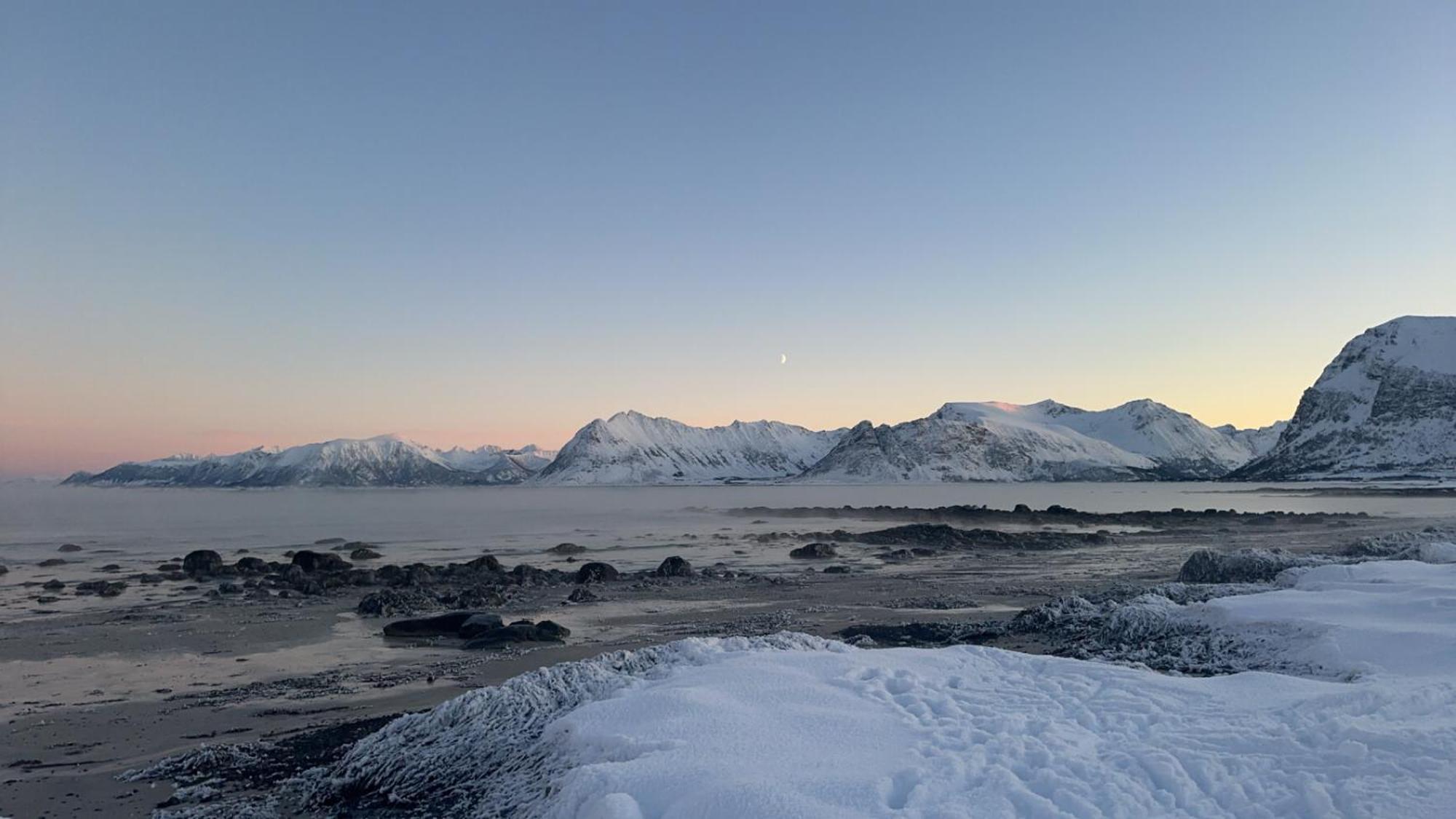 Unique Barnhouse In Amazing Gimsoy In Lofoten Saupstad  Exteriör bild